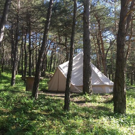 Camping La Chabannerie Hotel Saint-Martin-de-Clelles Bagian luar foto
